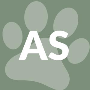 Animal Shelter Volunteering