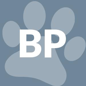 Big Paws Of The Ozarks